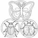 coloriage Coleoptera gratuit