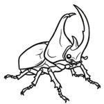 coloriage Coleoptera pour enfant de 2 ans