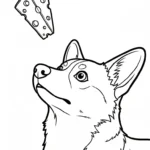 coloriage Corgi pour enfant de 7 ans
