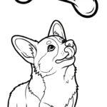 coloriage Corgi à imprimer pour enfant de 12 ans