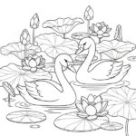Cygne