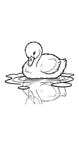 coloriage Cygne d