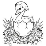 coloriage Cygne et apprentissage