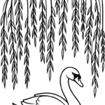 coloriage Cygne et decoupage a imprimer gratuit