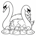 coloriage Cygne et apprentissage