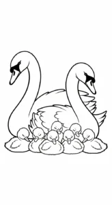 coloriage Cygne et apprentissage