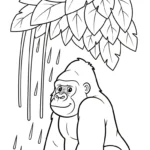 coloriage Gorille educatif pour enfant