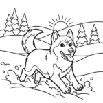 Husky