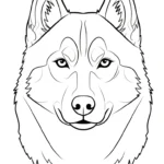 coloriage Husky à imprimer pour enfants