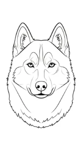 coloriage Husky à imprimer pour enfants