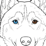 image pour coloriage Husky enfant