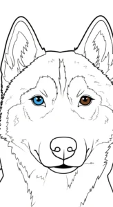 image pour coloriage Husky enfant