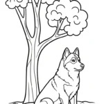 coloriage Husky à imprimer pdf