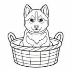 coloriage Husky à imprimer pour enfant de 10 ans