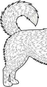 coloriage Husky gratuit à imprimer
