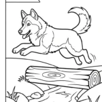 coloriage Husky pour enfant à imprimer