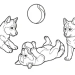 a imprimer coloriage Husky gratuit