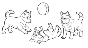a imprimer coloriage Husky gratuit