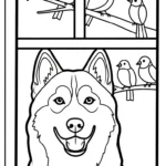 coloriage Husky à imprimer pour enfant de 6 ans