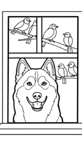 coloriage Husky à imprimer pour enfant de 6 ans