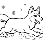 coloriage Husky à imprimer pour enfant de 4 ans