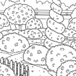 coloriage Jardin pour enfant de 6 ans