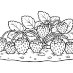 coloriage Jardin pour enfant de 8 ans