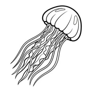coloriage Méduse gratuit en ligne