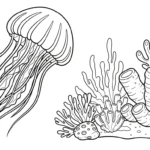 coloriage Méduse à imprimer pour enfant de 3 ans
