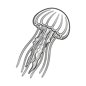 image pour coloriage Méduse enfant
