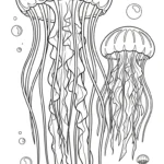 coloriage Méduse pour enfant de 6 ans