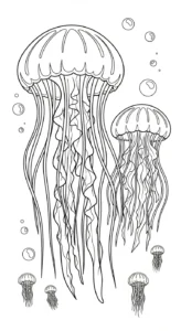 coloriage Méduse pour enfant de 6 ans