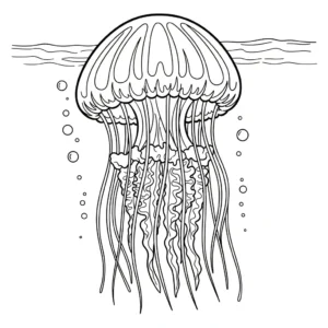 coloriage Méduse a imprimer