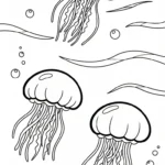 image pour coloriage Méduse enfant