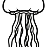coloriage Méduse pour enfant de 6 ans