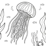 coloriage Méduse a imprimer pour enfant de 4 ans