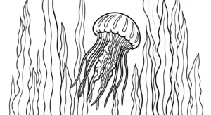 coloriage Méduse educatif pour enfant