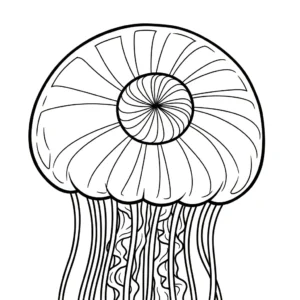 coloriage Méduse a imprimer gratuitement