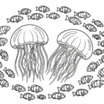 coloriage Méduse a imprimer gratuitement