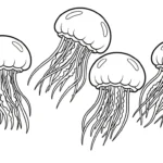 coloriage Méduse pour enfant a imprimer gratuit