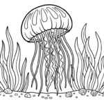 coloriage Méduse en ligne pour enfant