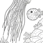 coloriage Méduse et dessin a imprimer