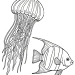 image de coloriage Méduse pour enfant