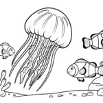 coloriage Méduse pour enfant à imprimer