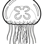 coloriage Méduse à imprimer pdf