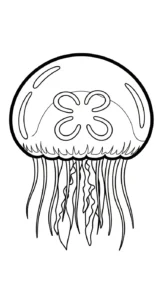 coloriage Méduse à imprimer pdf