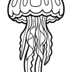 coloriage Méduse pour enfants à imprimer