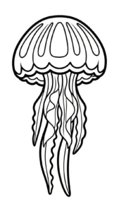 coloriage Méduse pour enfants à imprimer