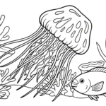 coloriage Méduse à imprimer pour enfant de 8 ans