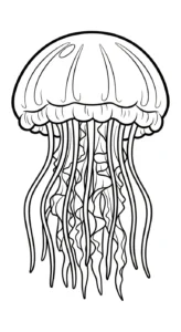coloriage Méduse et dessins